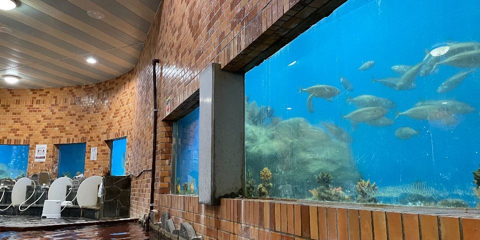 水族館風呂のイメージ